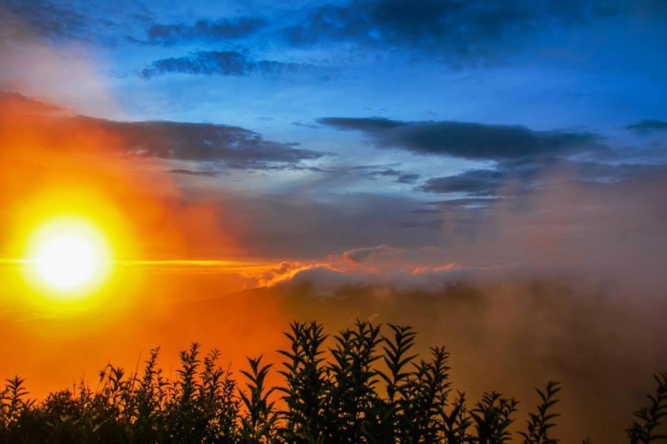 Good Karma Bromo Guesthouse エクステリア 写真