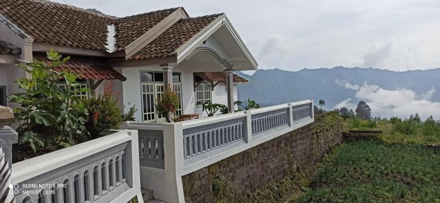 Good Karma Bromo Guesthouse エクステリア 写真