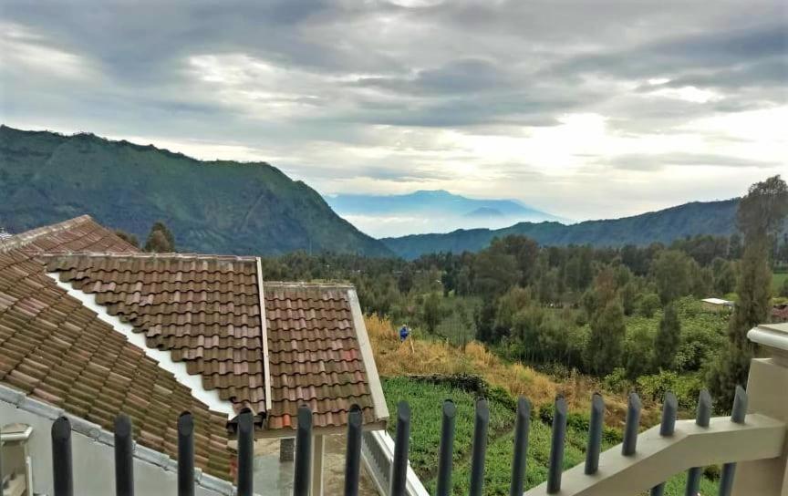 Good Karma Bromo Guesthouse エクステリア 写真