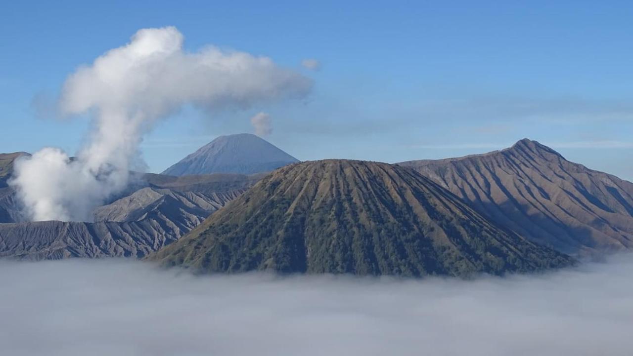 Good Karma Bromo Guesthouse エクステリア 写真