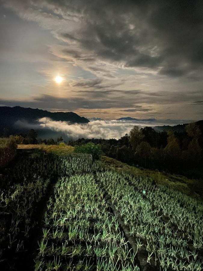 Good Karma Bromo Guesthouse エクステリア 写真