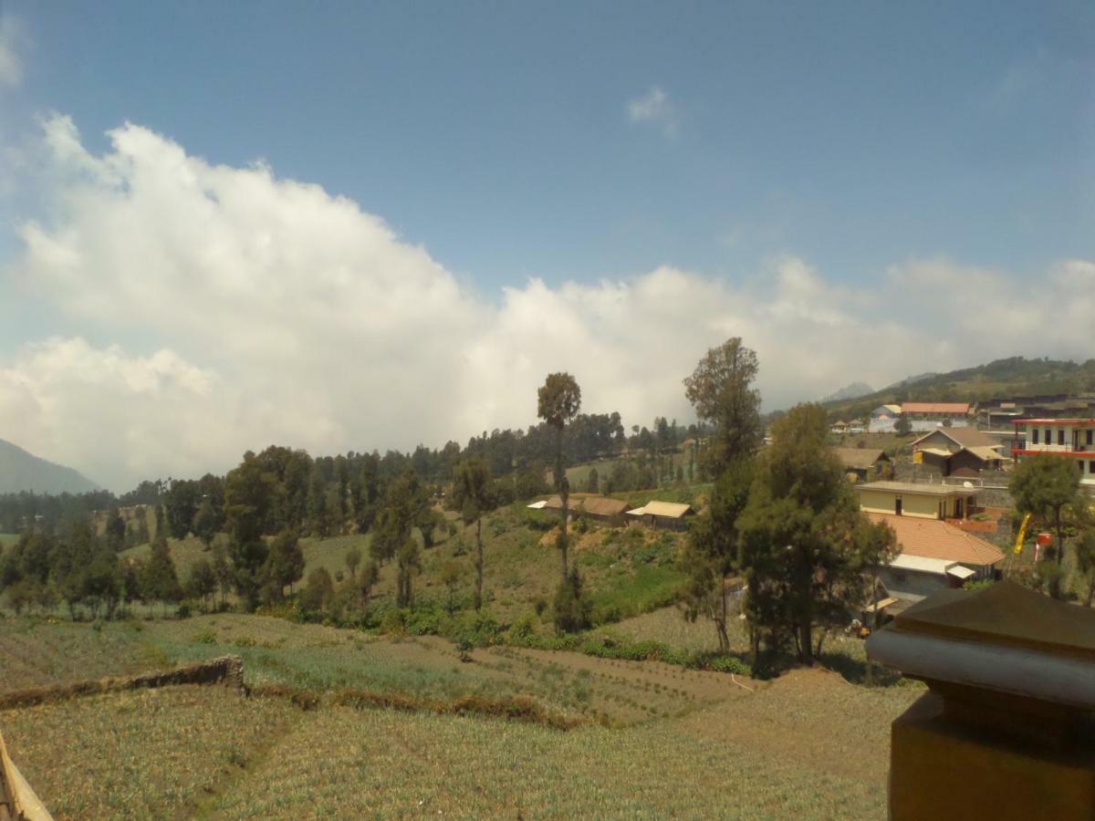 Good Karma Bromo Guesthouse エクステリア 写真